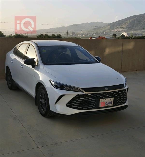 بي واي دي Qin Plus 2025 للبيع في العراق -  بغداد